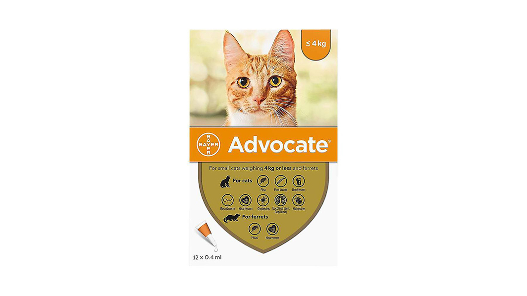 Advocate