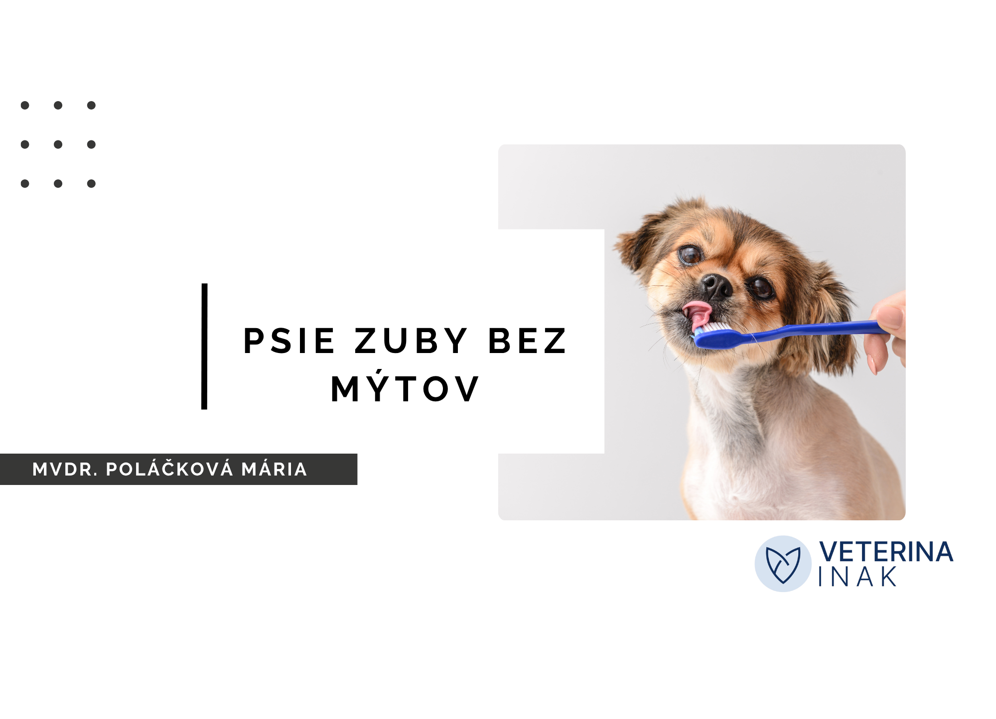 Hlavný obrázok